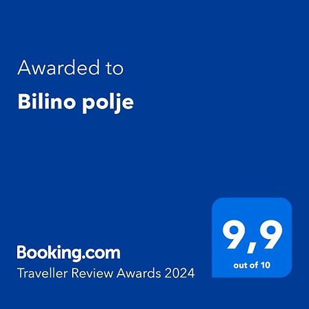 泽尼察Bilino Polje公寓 外观 照片